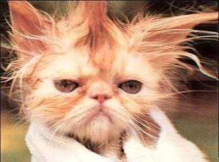 Not a happy bead lady!