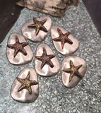 Bring the ocean into your jewelry with these starfish two‑hole slider beads. Each bead features a raised bronze starfish on a silver pebble‑like base, making them perfect as focal beads in bracelets or pendants for necklaces. With dual holes for stability, they align seamlessly in multi‑strand designs. Artisan‑style detailing makes them ideal for summer, beach, or nautical jewelry collections.